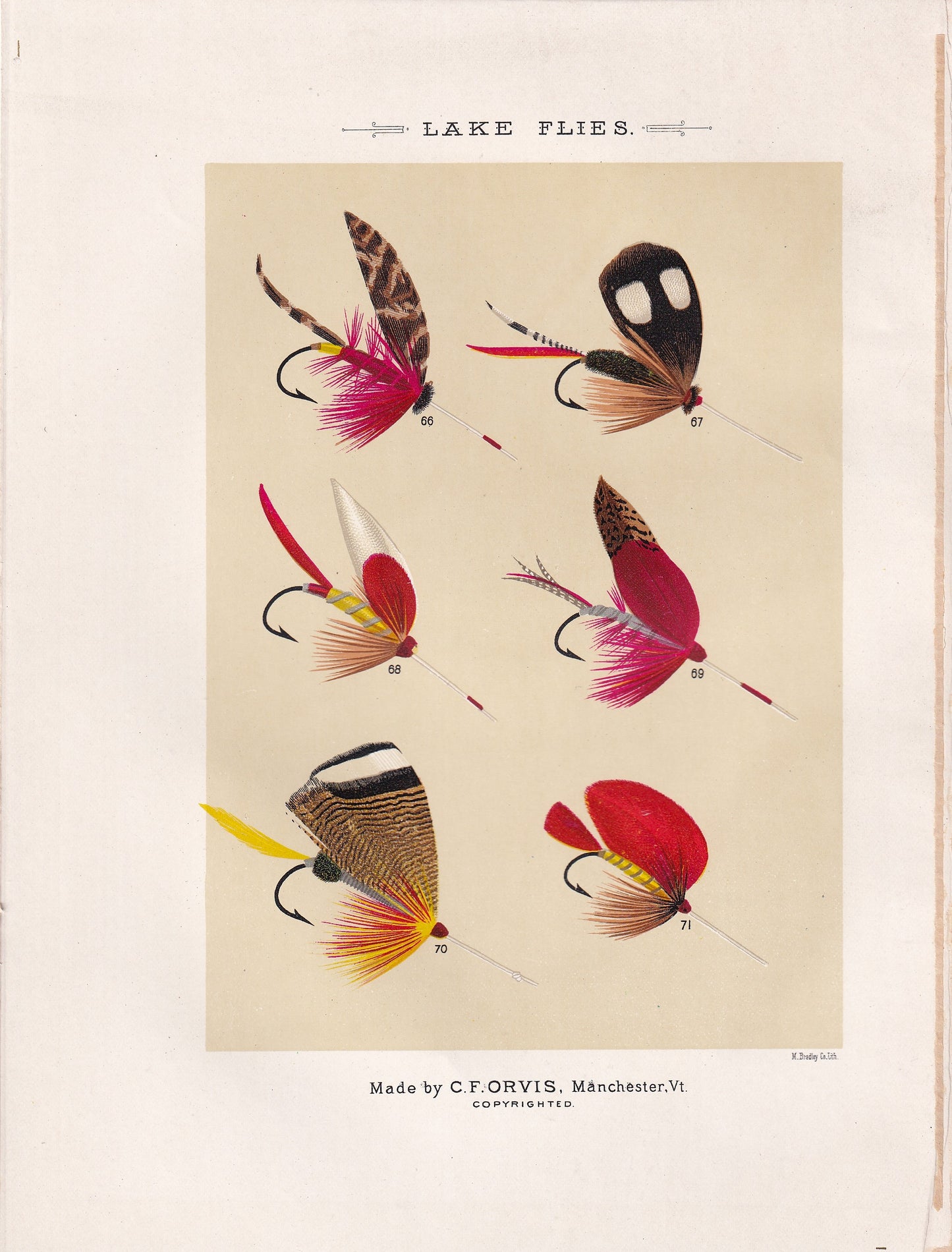 Lake Flies 66