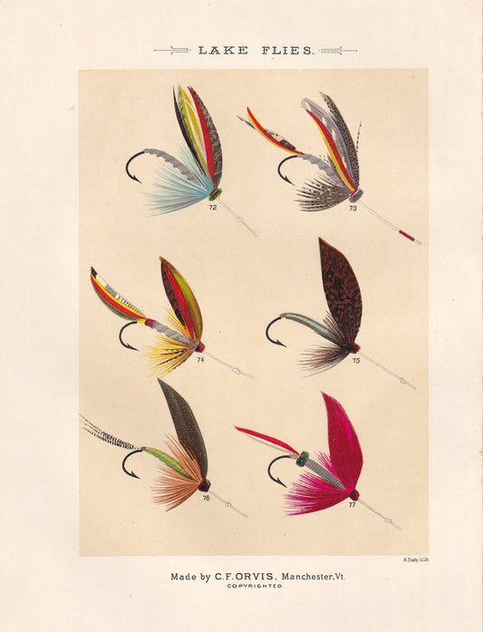 Lake Flies 72