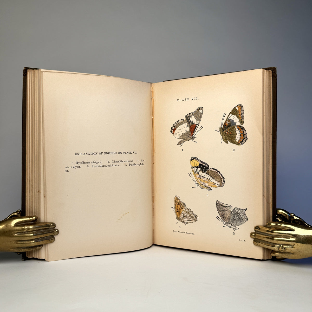 Manual of North American Butterflies - Ten Hand-Coloured Plates, 1891