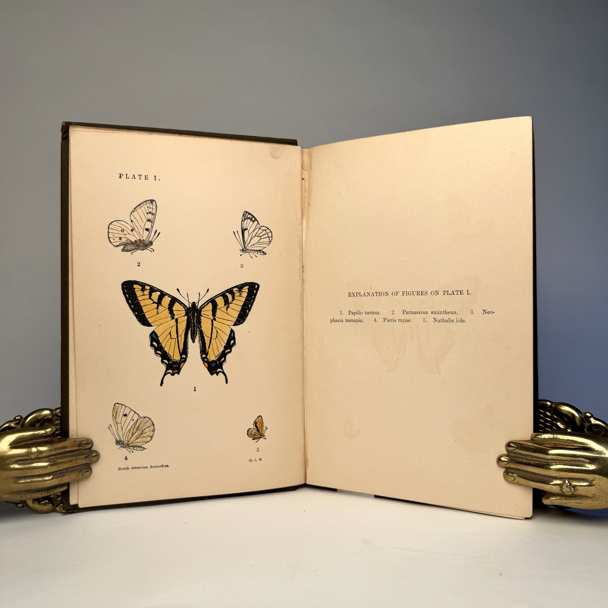 Manual of North American Butterflies - Ten Hand-Coloured Plates, 1891