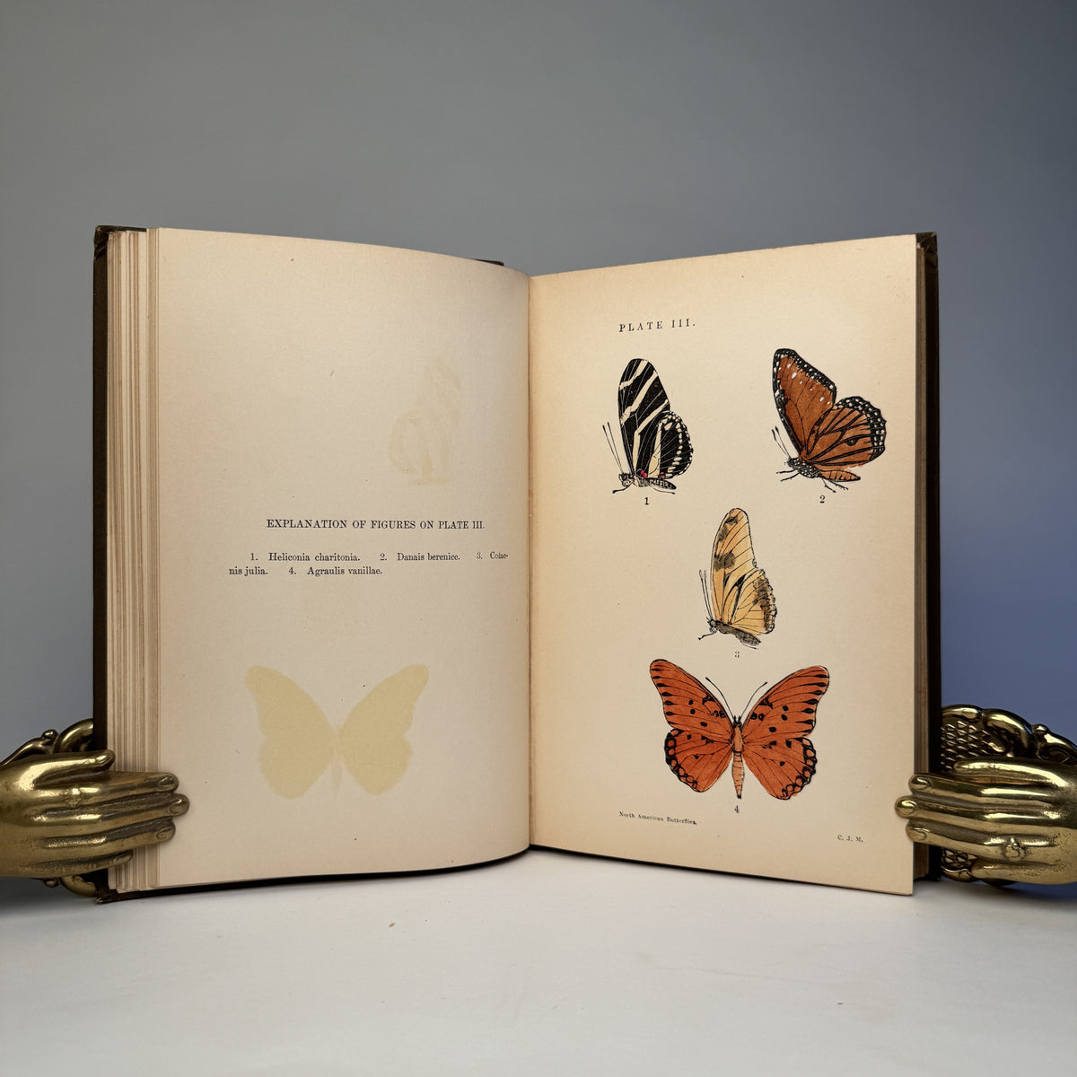Manual of North American Butterflies - Ten Hand-Coloured Plates, 1891