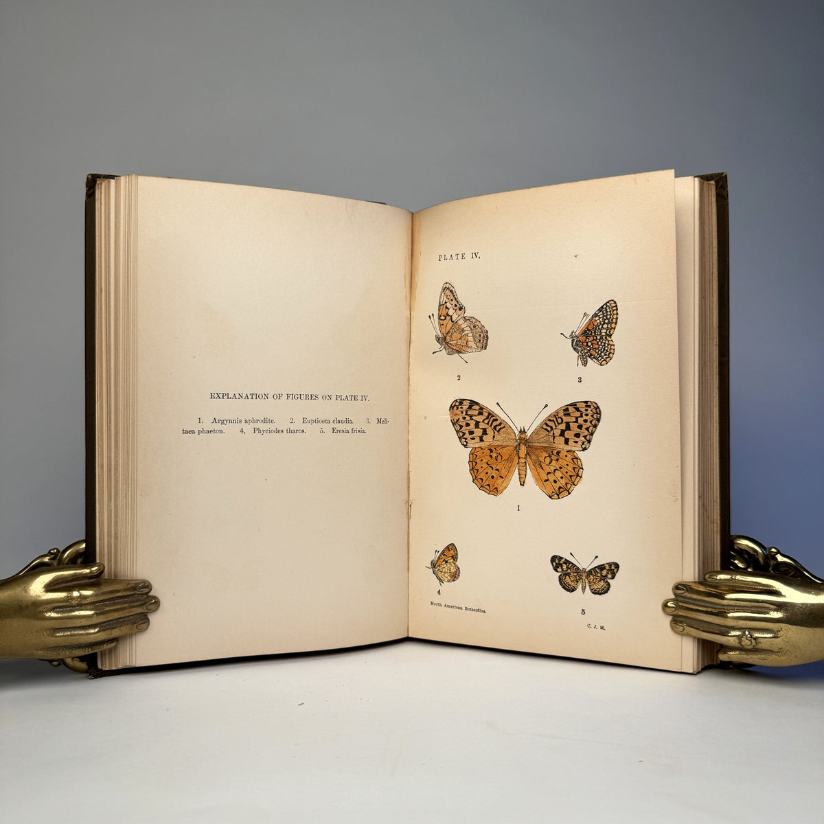 Manual of North American Butterflies - Ten Hand-Coloured Plates, 1891