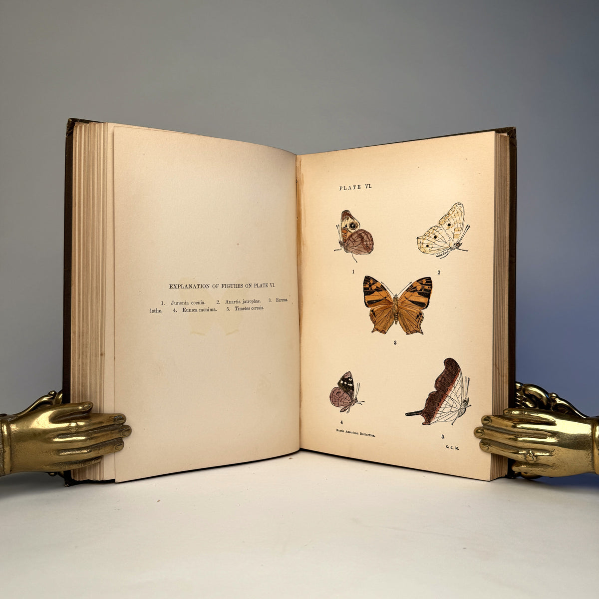 Manual of North American Butterflies - Ten Hand-Coloured Plates, 1891