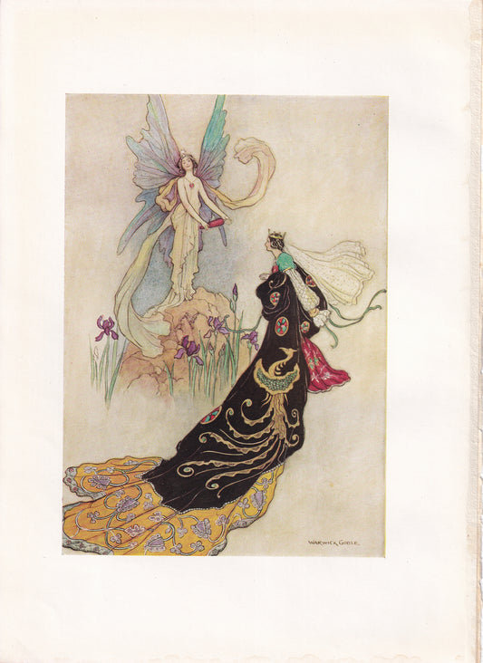 The Butterfly