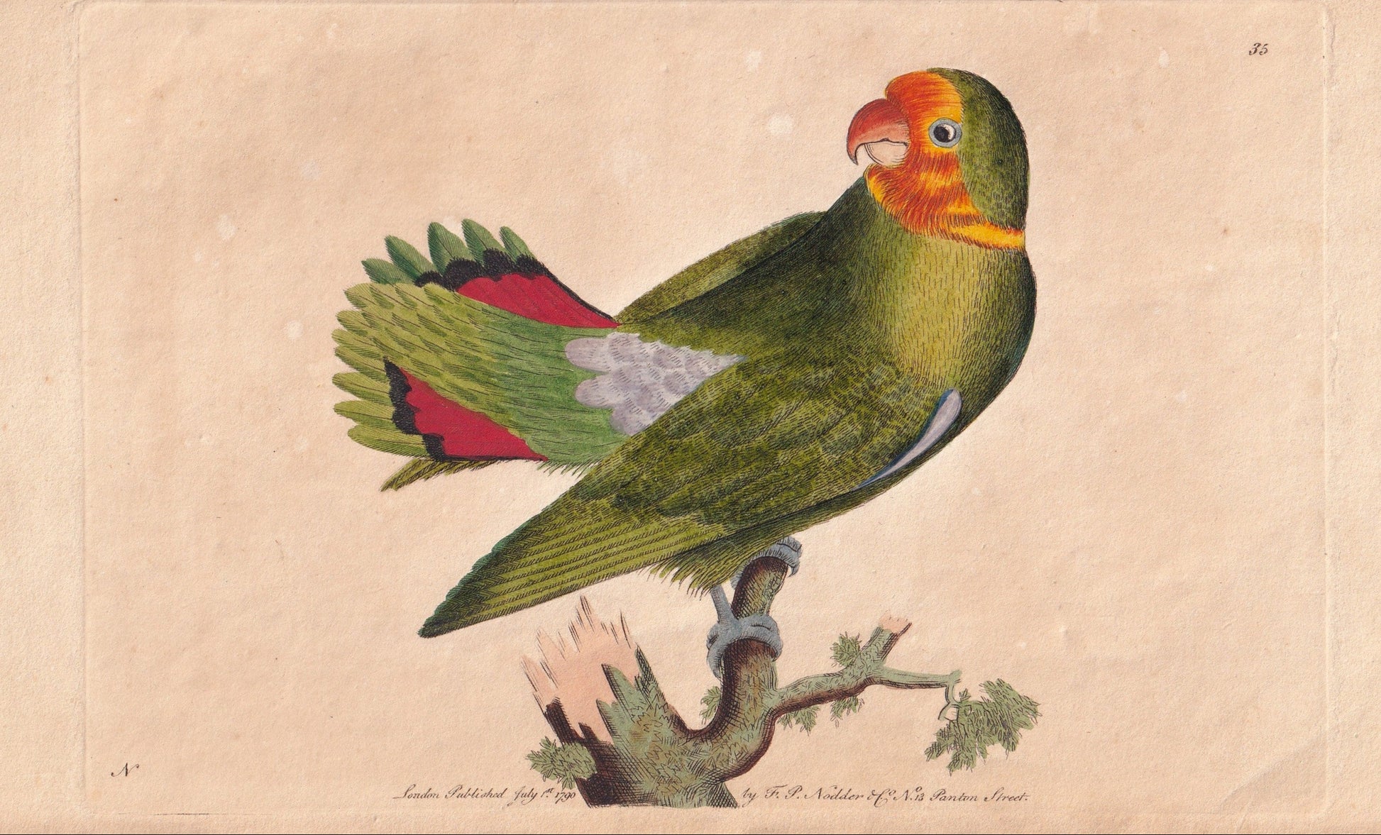 antique prints, vintage prints, original prints, hand-coloured prints, colored engravings, antique art, vintage art, decorative prints, collectible prints, fine art prints