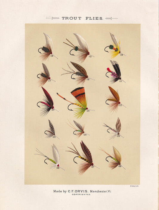 Trout Flies 114