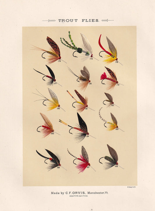 Trout Flies 174