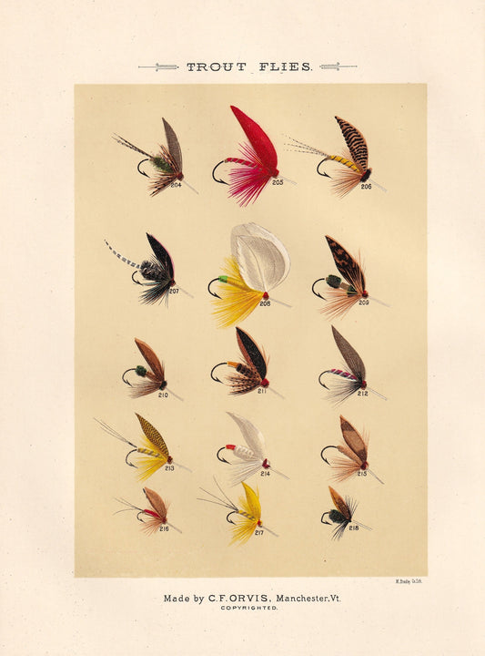 Trout Flies 204