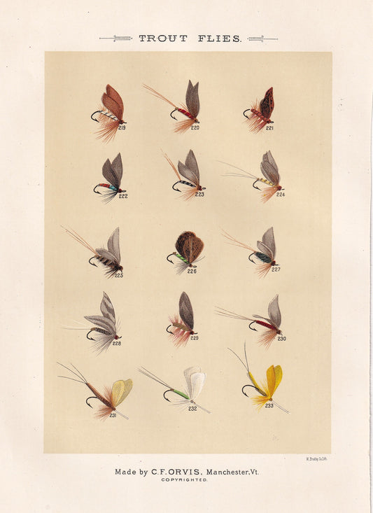 Trout Flies 219