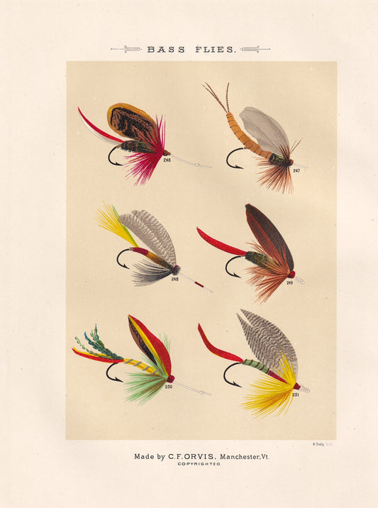 Bass Flies 246