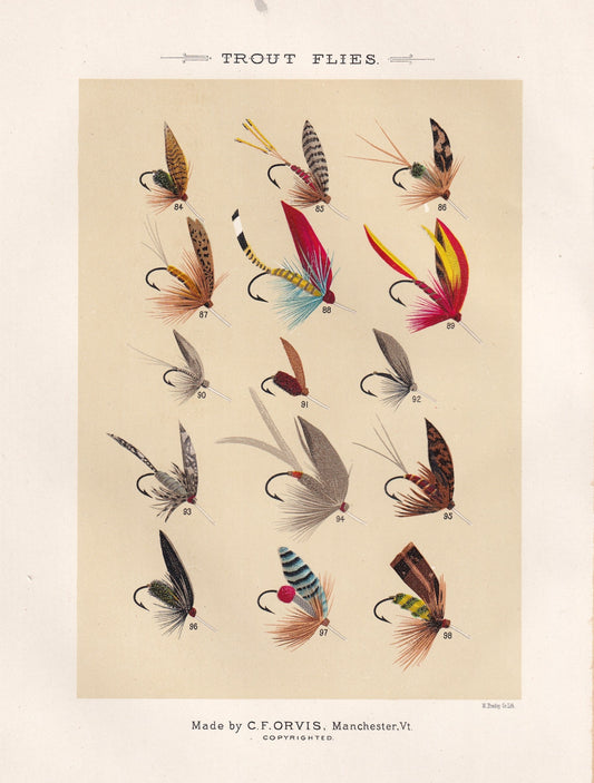 Trout Flies 84